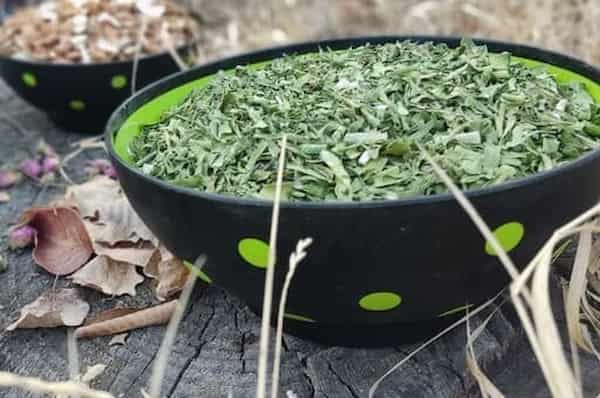 تصویر 5 از قیمت خرید سبزی دلمه خشک + فروش ویژه